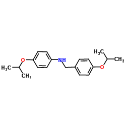 1040692-75-8 structure