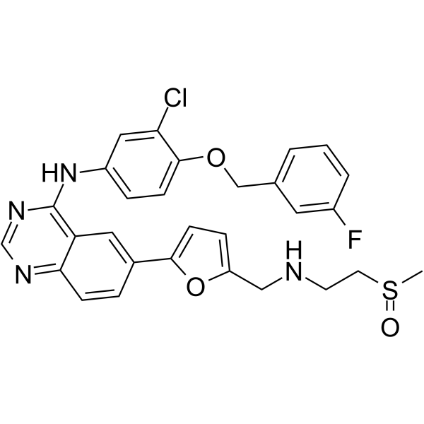 Selatinib Structure