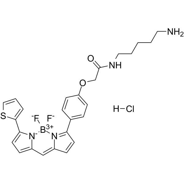 BODIPY TR Cadaverine Structure