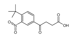 4-(4-tert-butyl-3-nitrophenyl)-4-oxobutanoic acid Structure