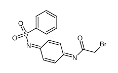 N1-(phenylsulfonyl)-N4-(bromoacetyl)benzoquinone diimine Structure