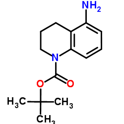 tert-butyl 5-amino-3,4-dihydroquinoline-1(2H)-carboxylate结构式