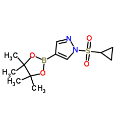 Pinacol-1-(cyclopropane sulfonyl)-1h-pyrazole-4-boric acid pinacol ester picture