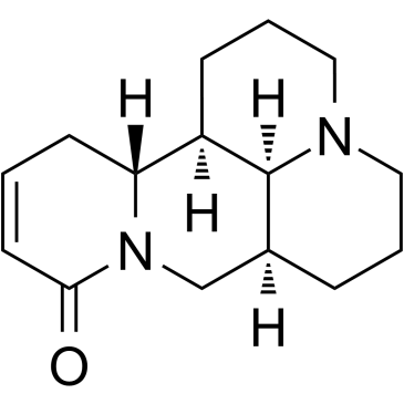 槐果碱图片