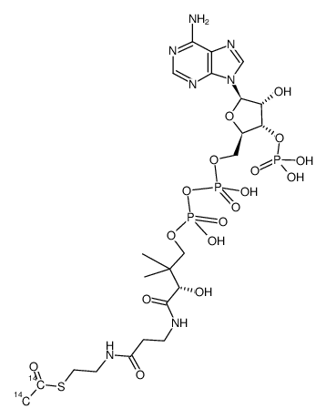 acetyl coenzyme a, [acetyl-1,2-14c]结构式