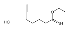 ethyl hept-6-ynimidate,hydrochloride Structure