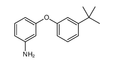 3-(3-TERT-BUTYL-PHENOXY)-PHENYLAMINE picture