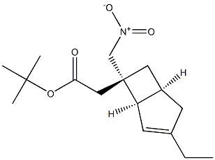 tert-butyl [(1R,5S,6S)-3-ethyl-6-(nitromethyl)bicyclo[3.2.0]hept-3-en-6-yl]acetate picture