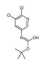 TERT-BUTYL 5,6-DICHLOROPYRIDIN-3-YLCARBAMATE structure