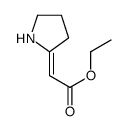 (Z)-ETHYL 2-(PYRROLIDIN-2-YLIDENE)ACETATE picture