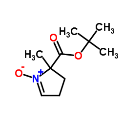 BMPO Structure