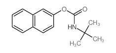 naphthalen-2-yl N-tert-butylcarbamate structure