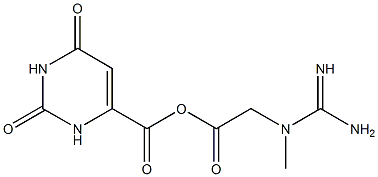 Creatine orotate picture