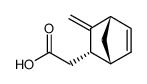 endo-2-(carboxymethyl)-3-methylenebicyclo[2.2.1]hept-5-ene结构式