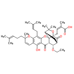 Gambogic acid B结构式