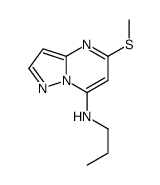 5-methylsulfanyl-N-propylpyrazolo[1,5-a]pyrimidin-7-amine Structure