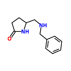 5-(Benzylamino-methyl)-pyrrolidin-2-one图片