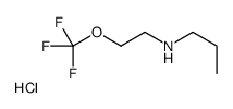 1301739-45-6 structure