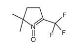 2,2-dimethyl-1-oxido-5-(trifluoromethyl)-3,4-dihydropyrrol-1-ium结构式