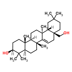 D-Friedoolean-14-ene-3β,28-diol picture