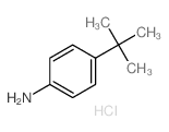 4-tert-butylaniline,hydrochloride结构式