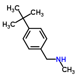 1-(4-(叔丁基)苯基)-N-甲基甲胺结构式