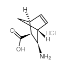 (1S,2S,3R,4R)-(+)-3-AMINOBICYCLO[2.2.1]HEPT-5-ENE-2-CARBOXYLIC ACID HYDROCHLORIDE picture