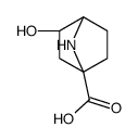 7-Azabicyclo[2.2.1]heptane-1-carboxylic acid, 3-hydroxy-, (1S,3R,4R)- (9CI) Structure