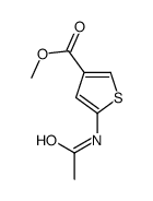 methyl 5-acetamidothiophene-3-carboxylate结构式