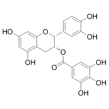 (-)-Epicatechin gallate structure