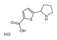 5-(2-Pyrrolidinyl)-2-thiophenecarboxylic acid hydrochloride (1:1)图片