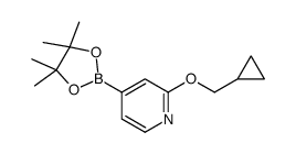 2-(cyclopropylmethoxy)-4-(4,4,5,5-tetramethyl-1,3,2-dioxaborolan-2-yl)pyridine结构式