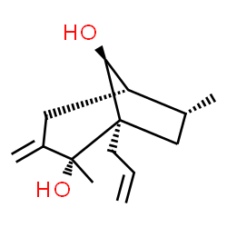 Bicyclo[3.2.1]octane-2,8-diol, 2,6-dimethyl-3-methylene-1-(2-propenyl)-, (1R,2R,5S,6R,8S)-rel- (9CI)结构式