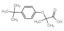 2-[4-(TERT-BUTYL)PHENOXY]-2-METHYLPROPANOIC ACID picture