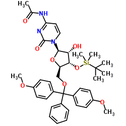 5'-DMT-3'-TBDMS-Ac-rC picture