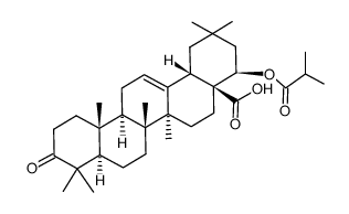 22β-(Isobutyryloxy)-3-oxooleana-12-ene-28-oic acid结构式