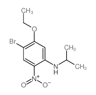 4-溴-5-乙氧基-N-异丙基-2-硝基苯胺图片