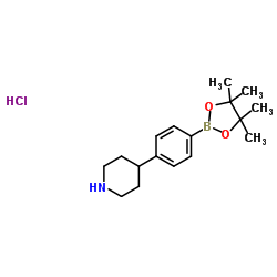 4-[4-(4,4,5,5-Tetramethyl-1,3,2-dioxaborolan-2-yl)phenyl]piperidine hydrochloride (1:1) Structure