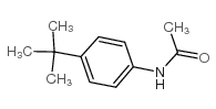 N-[4-(1,1-二甲基乙基)苯基]乙酰胺结构式