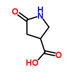 5-Oxo-3-pyrrolidinecarboxylic acid picture