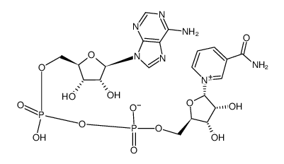 α-烟酰胺腺嘌呤二核苷酸结构式