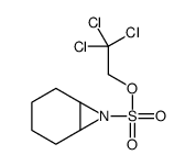 2,2,2-trichloroethyl 7-azabicyclo[4.1.0]heptane-7-sulfonate Structure