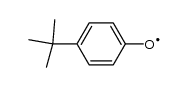 p-tert-Butylphenoxyl radical Structure