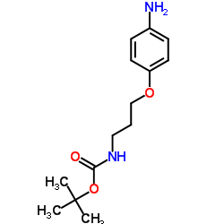 4-[3-(Boc-amino)propyloxyl]aniline picture