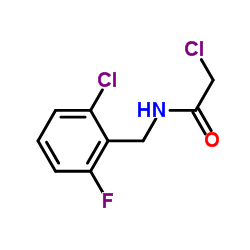 2-Chloro-N-(2-chloro-6-fluorobenzyl)acetamide Structure