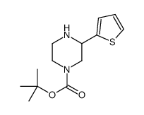 tert-Butyl 3-(thien-2-yl)piperazine-1-carboxylate, 1-(tert-Butoxycarbonyl)-3-(thien-2-yl)piperazine Structure