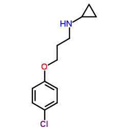 1040067-55-7 structure