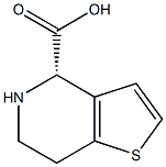 (S)-4,5,6,7-tetrahydrothieno[3,2-c]pyridine-4-carboxylic acid Structure