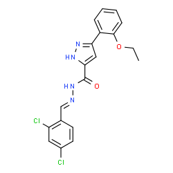 (E)-N-(2,4-dichlorobenzylidene)-3-(2-ethoxyphenyl)-1H-pyrazole-5-carbohydrazide结构式