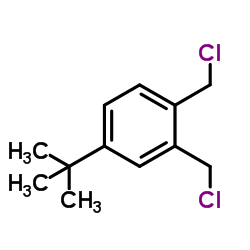 1,​2-​bis(chloromethyl)​-​4-​(1,​1-​dimethylethyl)​- Benzene结构式